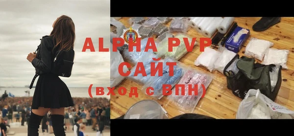 стафф Надым
