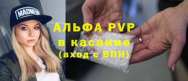 стафф Надым