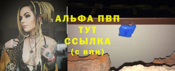 стафф Надым