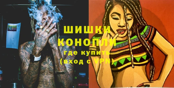 ПСИЛОЦИБИНОВЫЕ ГРИБЫ Михайлов