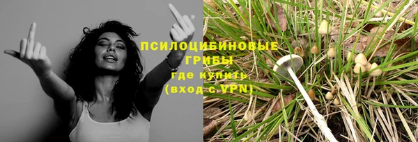 стафф Надым