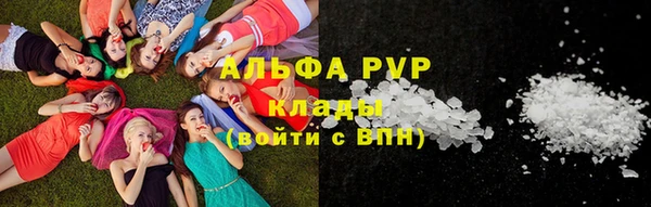 стафф Надым