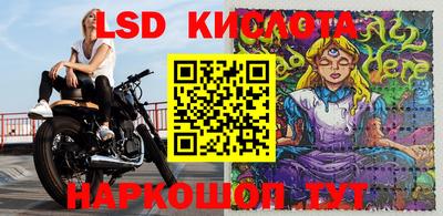 гашик Гусев