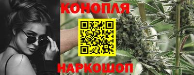 гашик Гусев