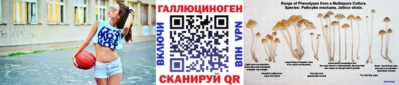 omg зеркало  хочу   Кимовск  Галлюциногенные грибы мухоморы 