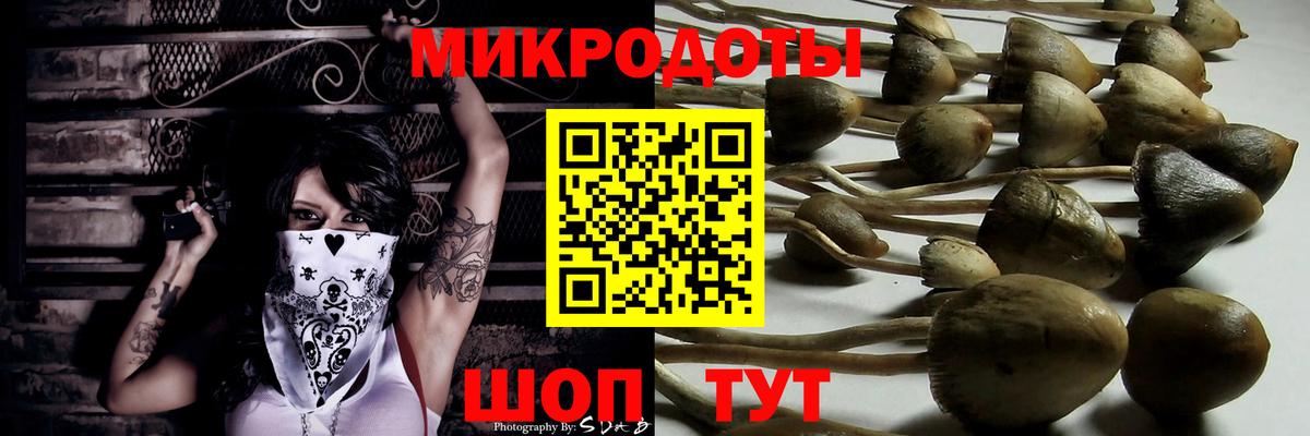 Кимовск  Галлюциногенные грибы ЛСД  купить   Вход с VPN  Галлюциногенные грибы Psilocybe 