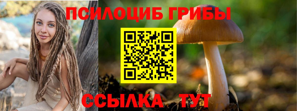Галлюциногенные грибы Psilocybine cubensis Кимовск